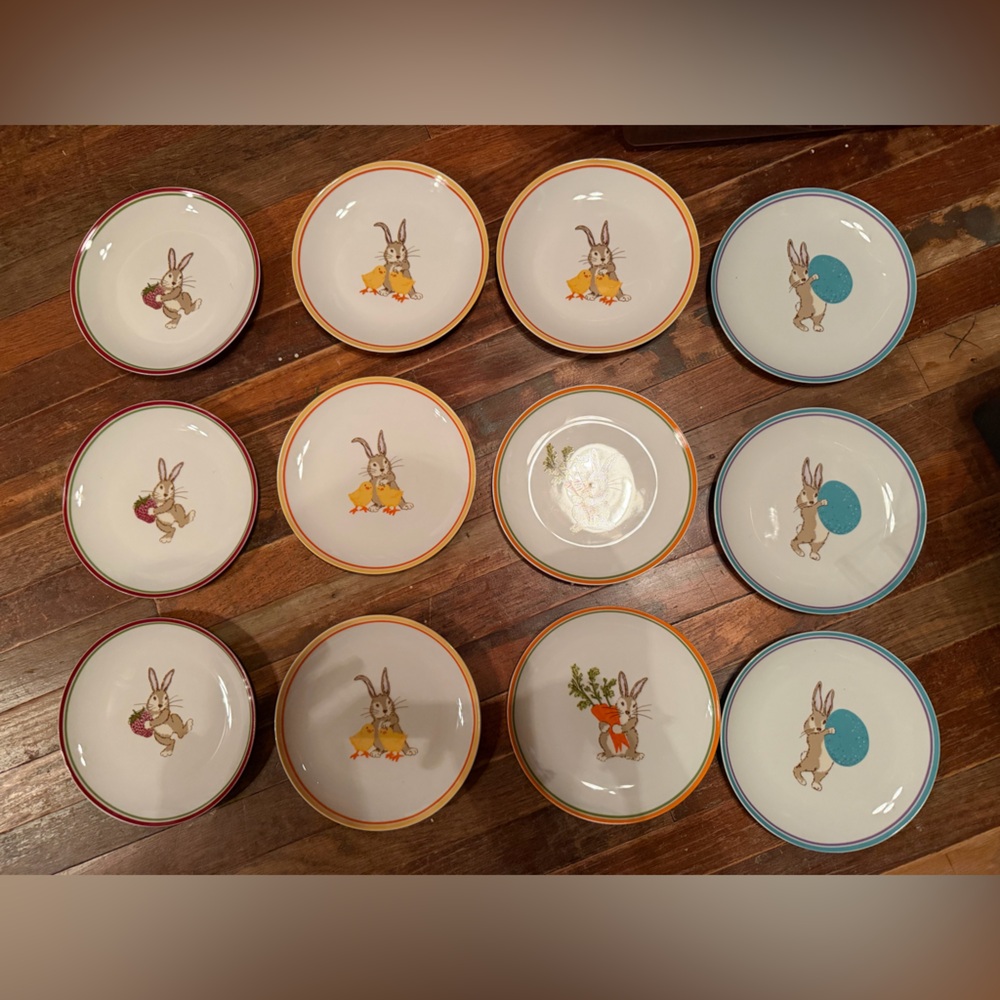 World Market Set of 12 Easter Bunny Plates